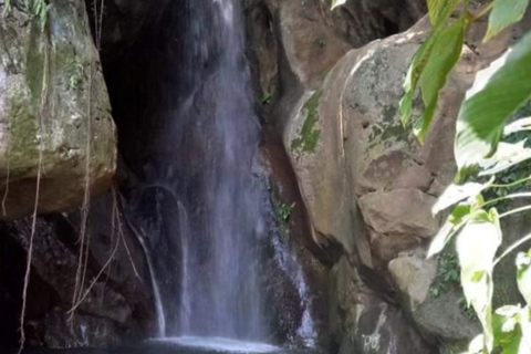 Cebu: Igutan Cave and Waterfalls Hike with Market Visit