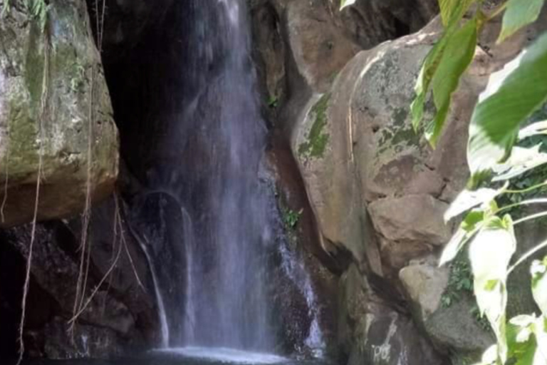 Cebu: Igutan Cave and Waterfalls Hike with Market Visit
