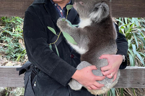 Vanuit Adelaide: Knuffel een Koala en historische Hahndorf Tour