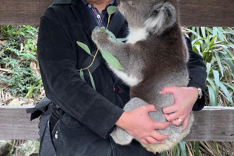 Von Adelaide aus: Kuscheln mit einem Koala und historische Hahndorf-Tour