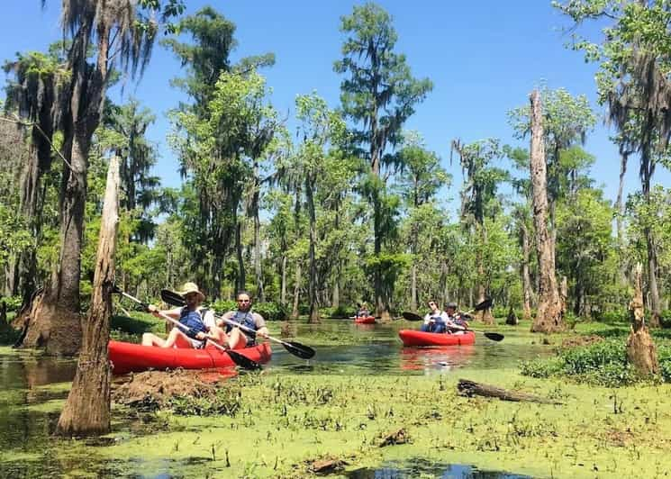 Day Trips from New Orleans | GetYourGuide