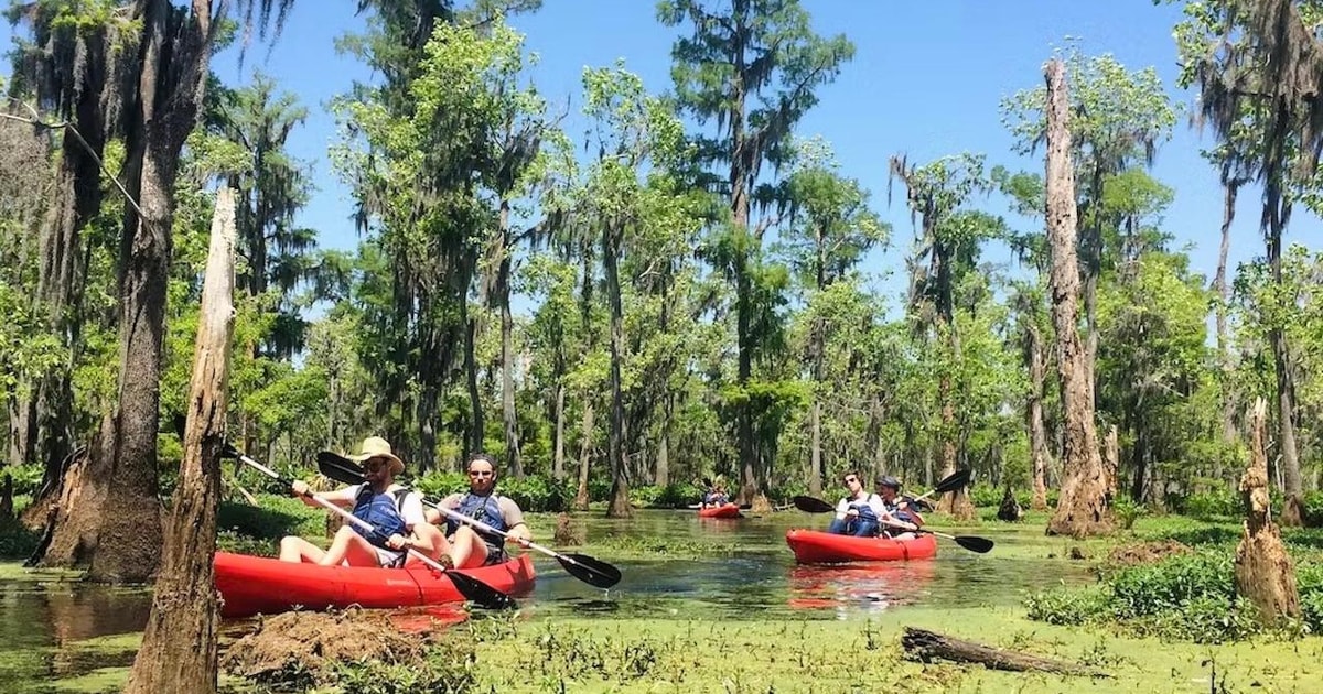 Desde Nueva Orleans Combo Plantación Whitney y Excursión en Kayak