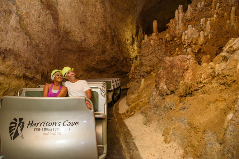 Barbados: Harrison&#039;s Cave Adventure Park Pass