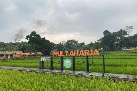 The Beautiful Garden, Rice Terrace and Waterfall In Bogor
