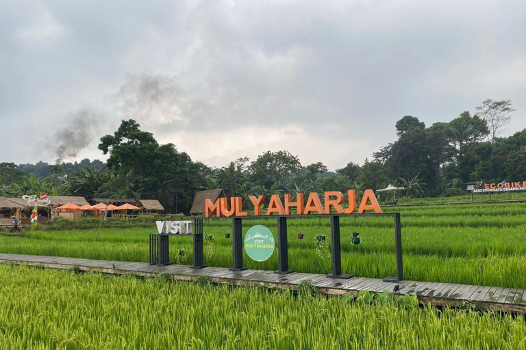 The Beautiful Garden, Rice Terrace and Waterfall In Bogor