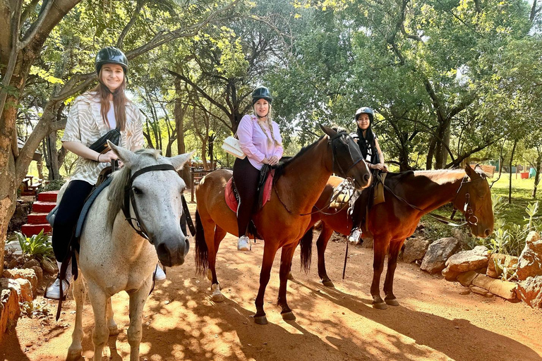 Da Johannesburg: Safari a cavallo