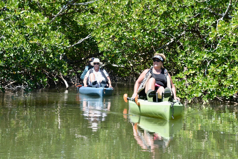 From Naples, FL: Marco Island Mangroves Kayak or Paddle Tour Easy Ride Pedal Kayak Tour