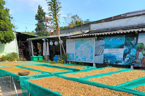 Dalat: piantagione di caffè, fabbrica di seta e tour culturaleDalat: tour tra piantagioni di caffè, fabbriche di seta e cultura