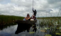 Okavango Delta, 1 Day Mokoro/Canoe Tour all-inclusive - Housity