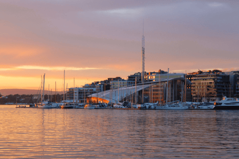 Oslo : Croisière touristique dans le fjord d'Oslo en bateau électrique