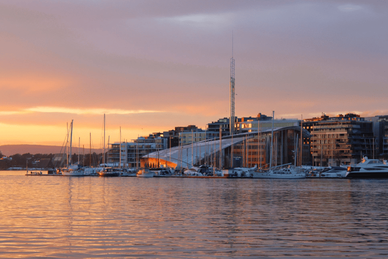 Oslo : Croisière touristique dans le fjord d'Oslo en bateau électrique