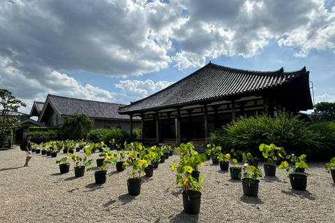 Nara: il Tempio Gangoji, patrimonio dell&#039;umanità, e la città vecchia di Naramachi