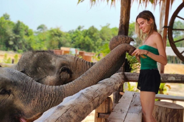 Cambodia Elephant Sanctuary and Banteay Srey Temple Tour