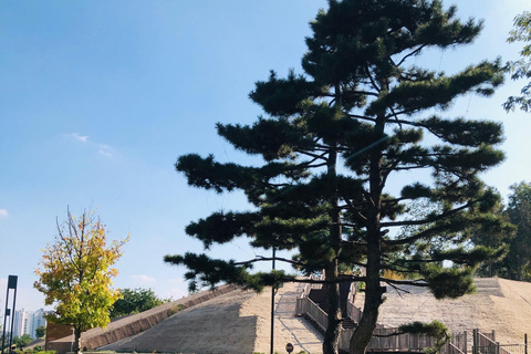 Zhengzhou : visite du patrimoine culturel de la dynastie ShangVisite privative dans la dynastie Shang