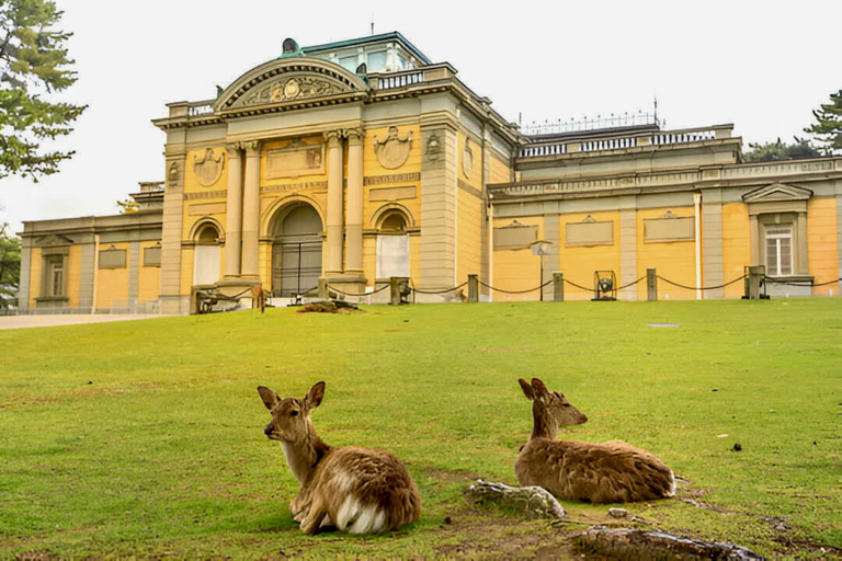 Osaka & Nara: Must-see Spots Full Day Tour with Hotel Pickup