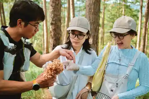 Dalat: Mushroom foraging & hiking, forest bathing & wellness