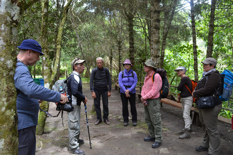 From Cusco: 4-day Inca Trail Trek to Machu Picchu