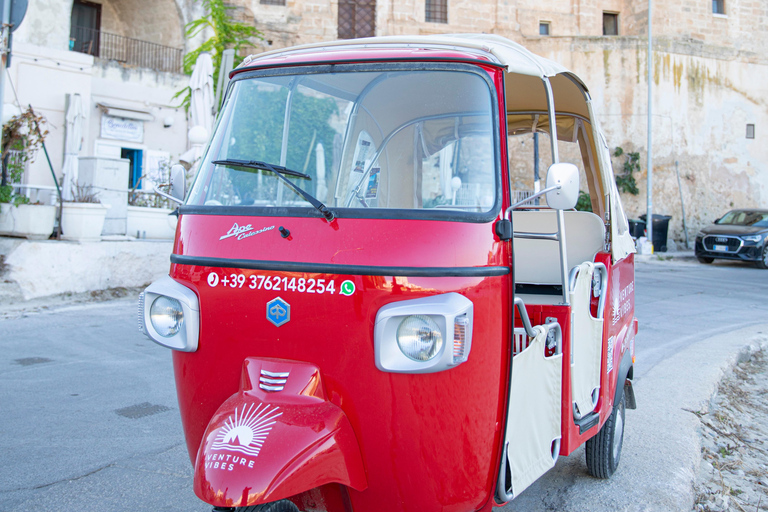 خمر القرد كاليسينو: جولات بولينيانو آ ماريVintage Ape Callessino: جولات Polignano a Mare لمدة 60 دقيقة