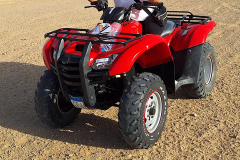 Fayoum: Qarun Sahara Safari With( ATV ) Quad bike From Cairo Private 4 Hours Quad Included Tickets