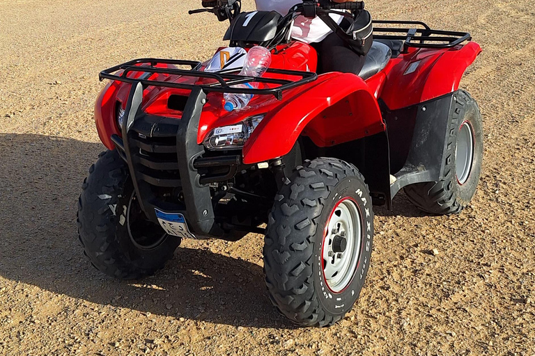 Fayoum: Qarun Sahara Safari With( ATV ) Quad bike From Cairo Private 4 Hours Quad Included Tickets