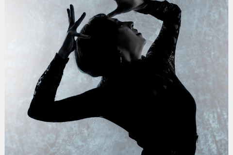Seville: Enjoy a class of approach to flamenco