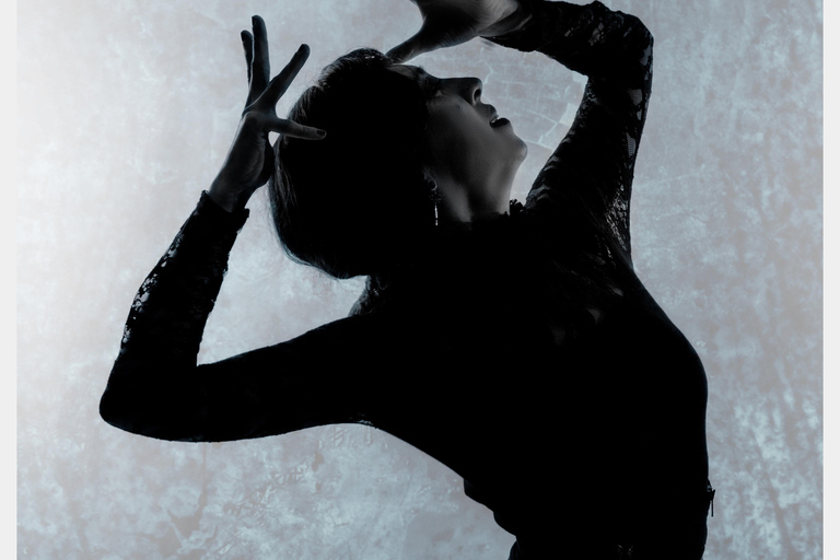 Seville: Enjoy a class of approach to flamenco