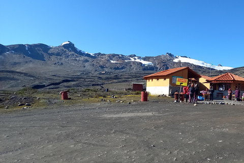 Depuis Huaraz : Excursion d&#039;une journée au glacier Pastoruri et au Puya Raymondi