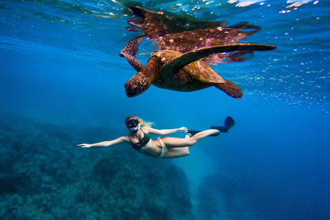 Mirissa VIP Turtles Snorkeling: Pool Training & Free GoPro