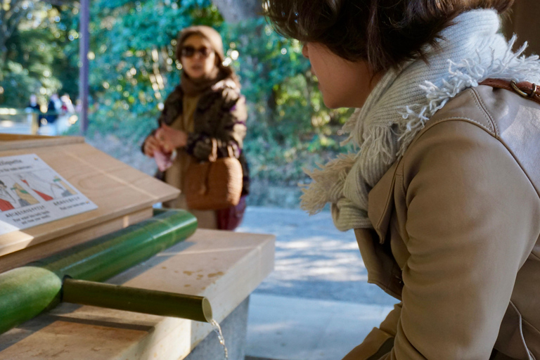 Tokyo: Santuario Meiji di Harajuku 1h a piedi Tour di spiegazioni