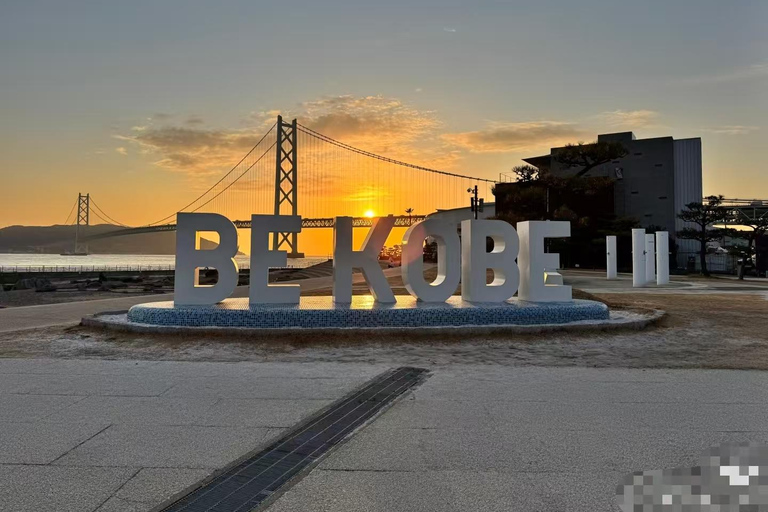 Kobe: Shore Excursion for Cruise Guest(Small Group/Private) Small Group