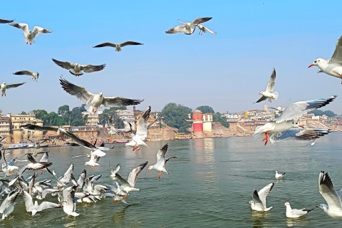 Varanasi : Privé sightseeingtour & Ganga cruisesVaranasi : Een privé dagvullende tour per auto & boottocht