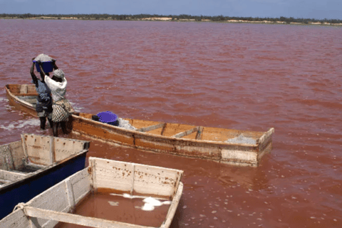 From Dakar: Bandia Reserve, Saly, and Lac Rose 2-Day Tour