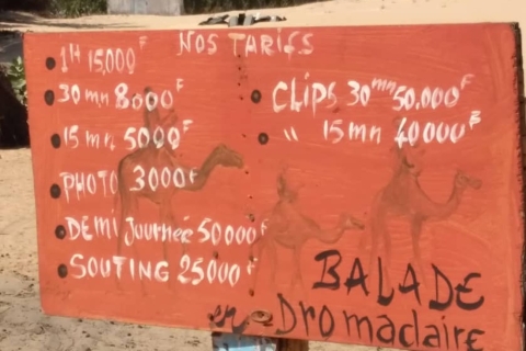 Dakar : visite d'une demi-journée du lac rose et du village des tortues