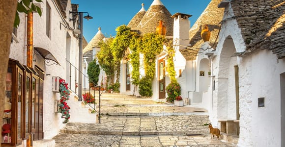 Private Alberobello Trulli Village Tour from Brindisi Port
