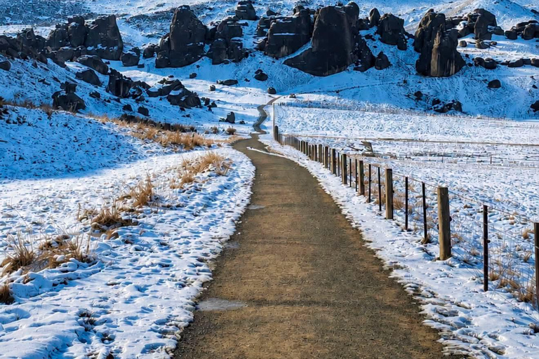 From Christchurch: Arthur's Pass Day Trip
