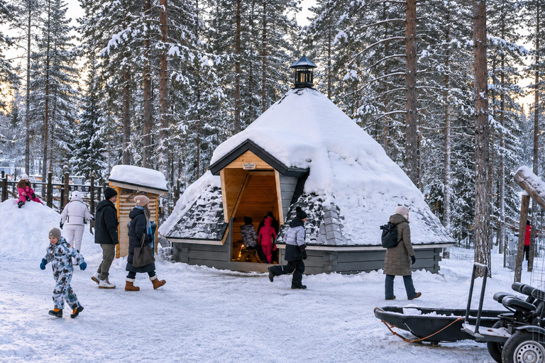 Rovaniemi: Your First Husky Sled Ride & Husky Farm Visit ⭐ 500m Husky Ride | Standard