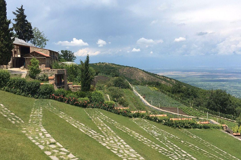 جولة جماعية إرشادية في منطقة النبيذ والتاريخ في تبليسي كاخيتي