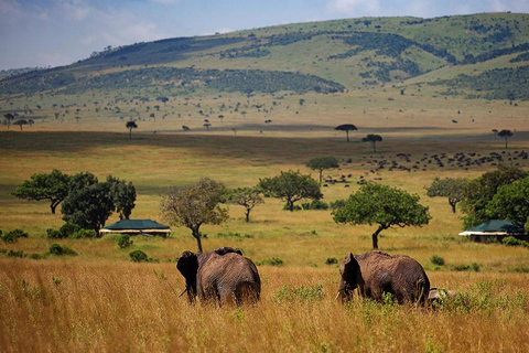 3 dni, 2 noce, prywatna wycieczka do Maasai Mara