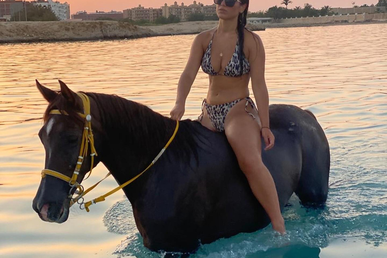 Hurghada: Swimming & Horse riding with FREE Photos & Videos 2-Hour Horse Swimming & Photos with Transfer