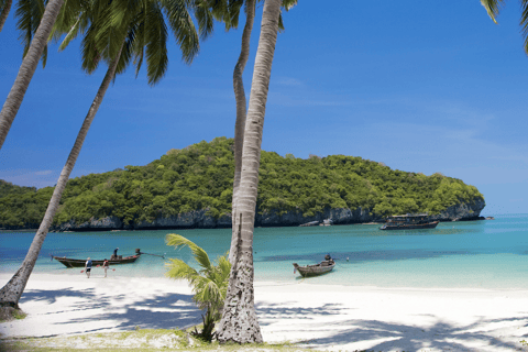 Angthong Marine Park: Speedboat Day Tour with Activities