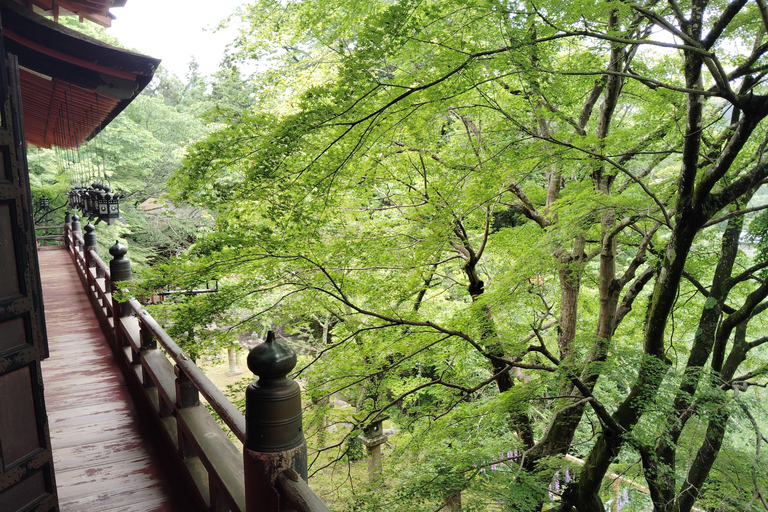 Nara: Explore Tanzan Shrine’s Pagoda and Sacred History
