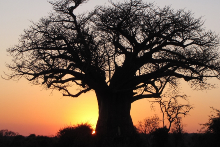 Hogar del baobab 5 noches 6 días