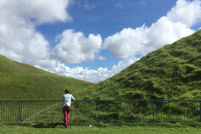 Auckland Volcanoes Full-Day Small Group Tour
