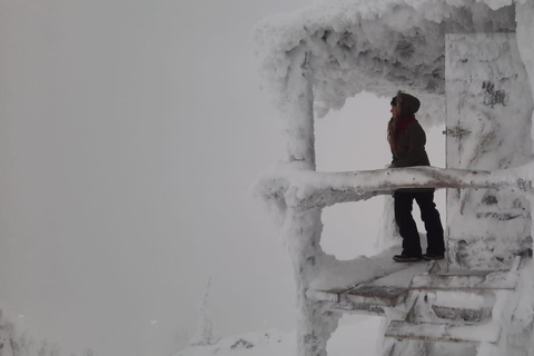 Levi: Snöskovandring: Tomtens stuga och picknick i natursköna omgivningar