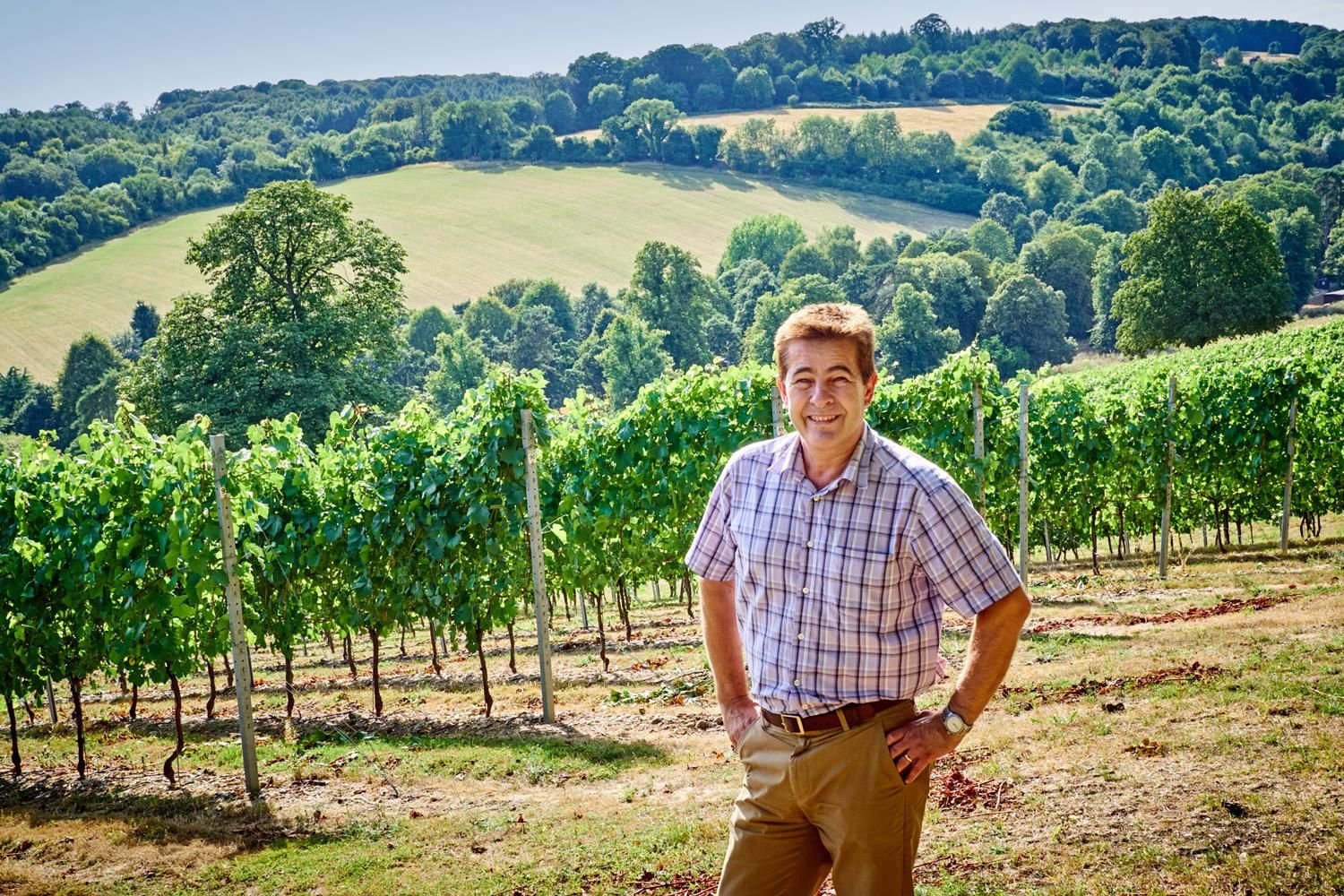 Henley-on-Thames: Tour zu 3 Weingütern mit Verkostung und Mittagessen