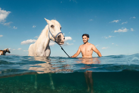 Punta Cana: Swim & Ride Horse on Caribbean Beach & Transport