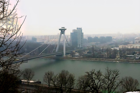 Vienna: Private tour to Bratislava