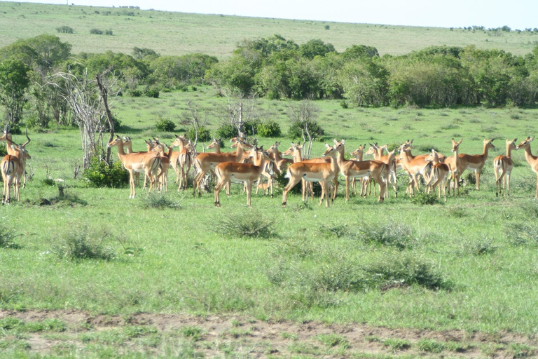 Ostateczna 6-dniowa prywatna przygoda na safariNajlepsza 6-dniowa prywatna przygoda na safari