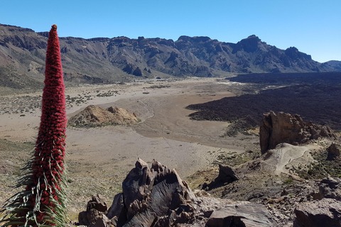 Tenerife: Island Tour with Teide Volcano and Lunch