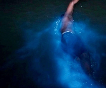 Falmouth: Experiência noturna na Lagoa Luminosa